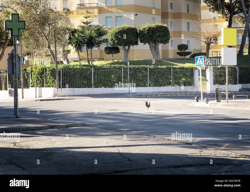 Descubre los Secretos detrás del Juego Popular de la Calle de la Pera en España - overview