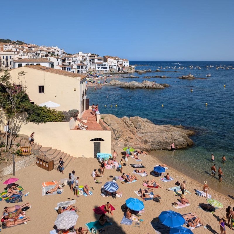 Spain - corgibet bonus codes